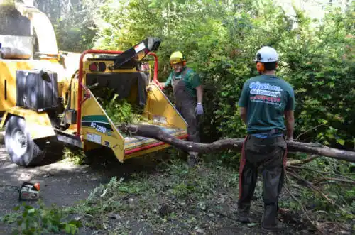 tree services Cissna Park